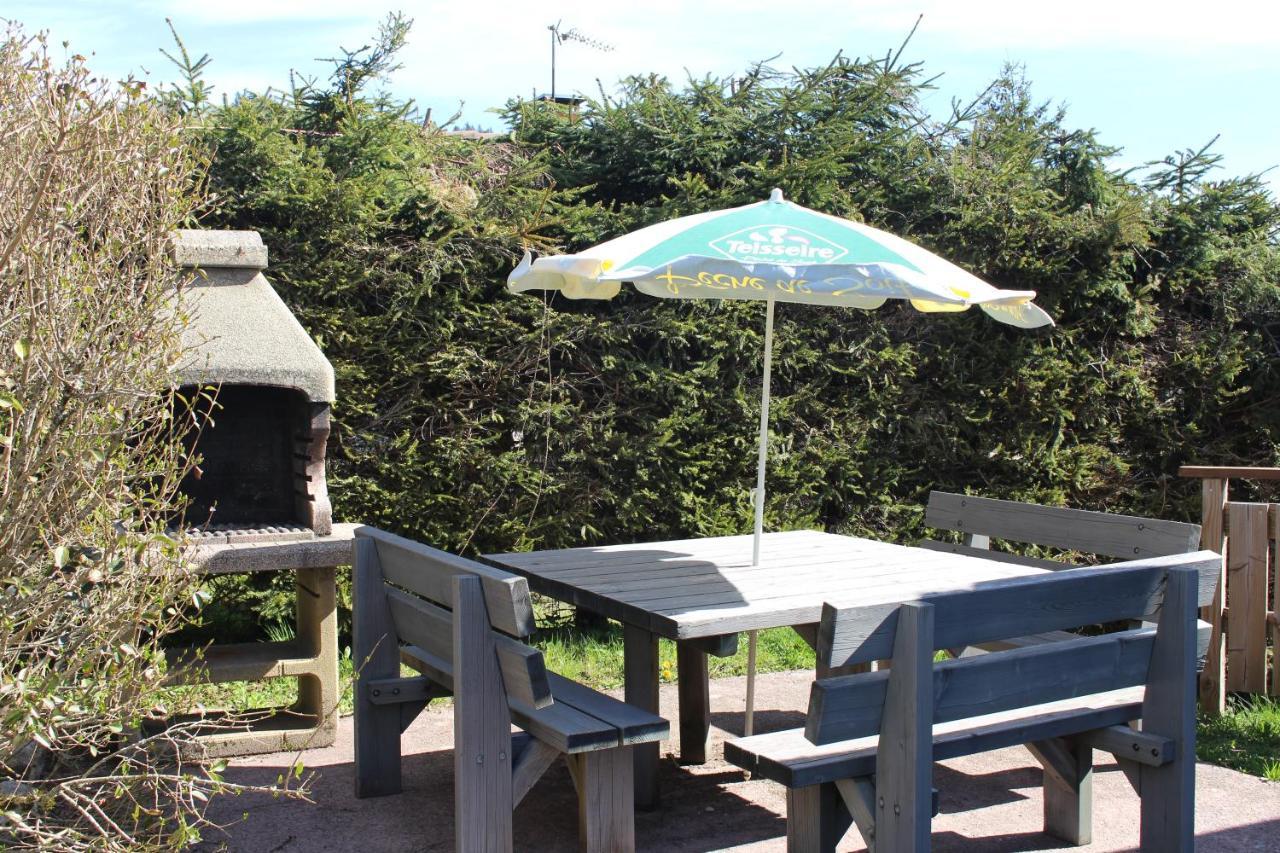 Chalet Les Bouleaux, La Montagne Des Lamas La Bresse Ngoại thất bức ảnh