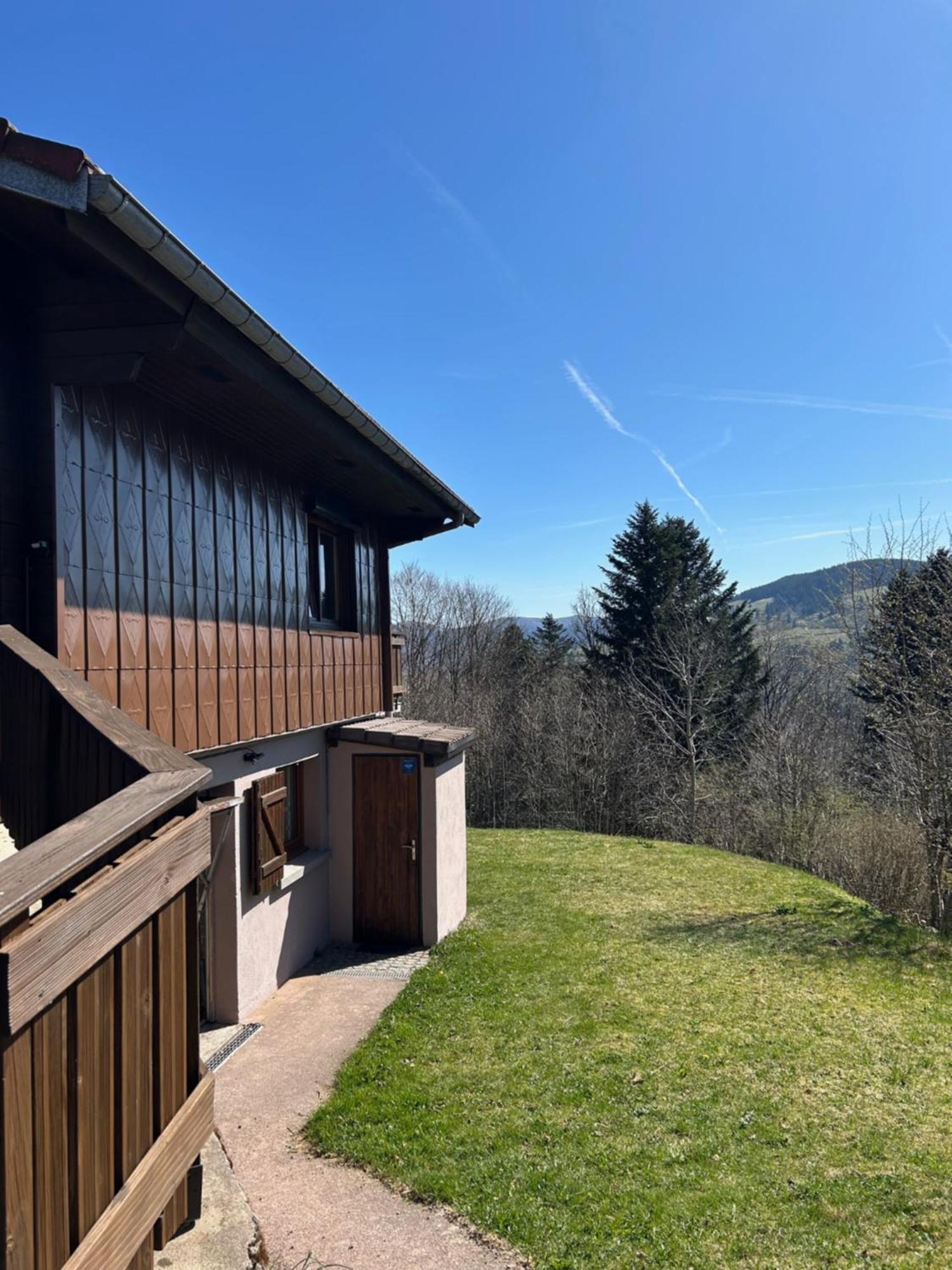 Chalet Les Bouleaux, La Montagne Des Lamas La Bresse Ngoại thất bức ảnh