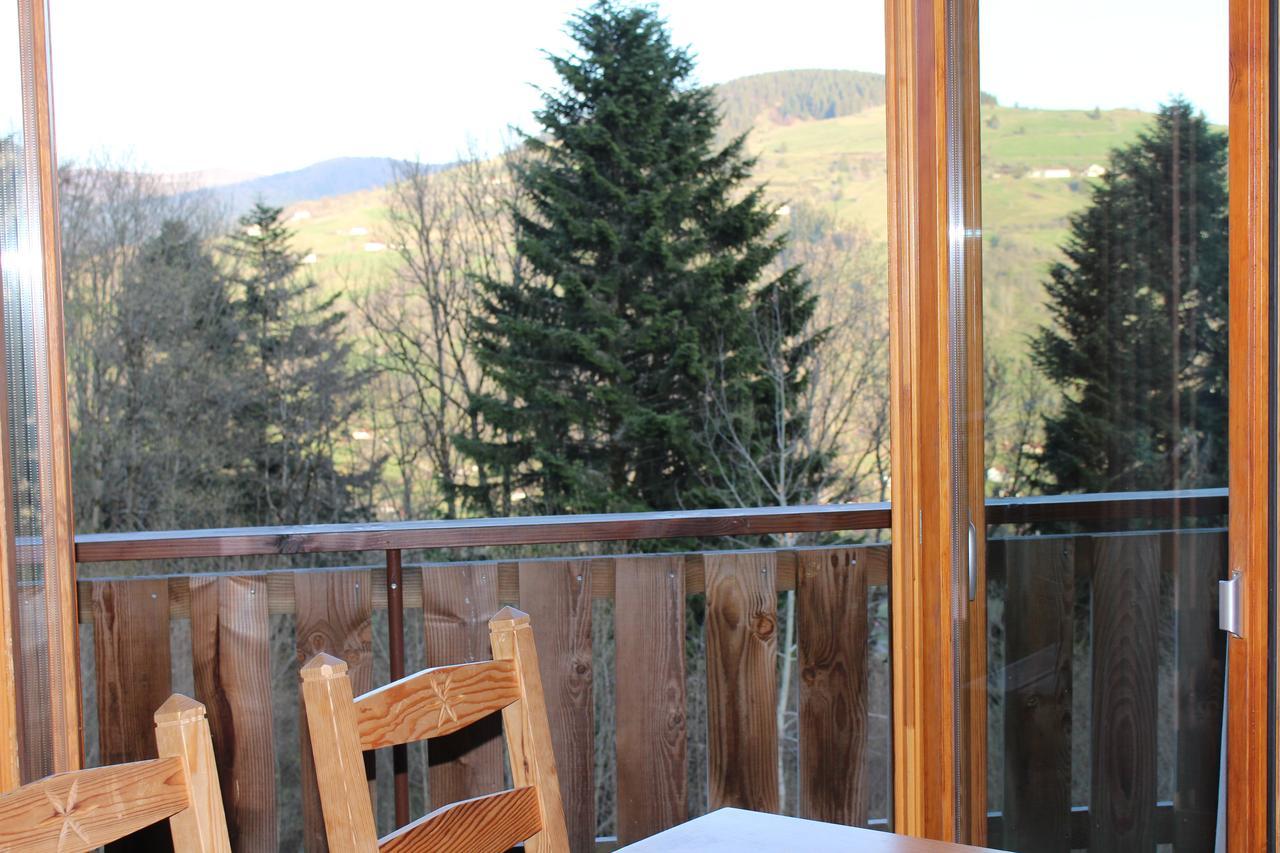 Chalet Les Bouleaux, La Montagne Des Lamas La Bresse Ngoại thất bức ảnh
