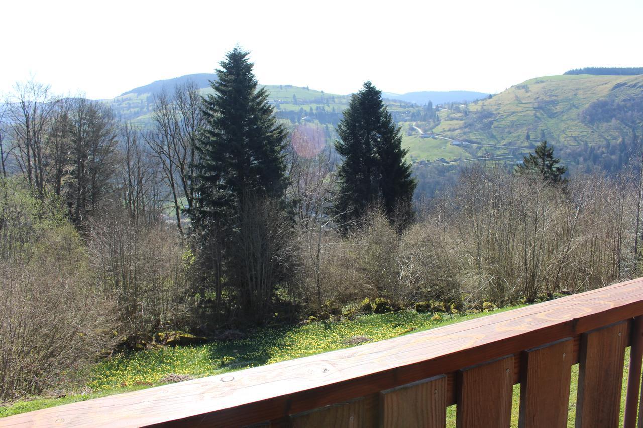 Chalet Les Bouleaux, La Montagne Des Lamas La Bresse Ngoại thất bức ảnh